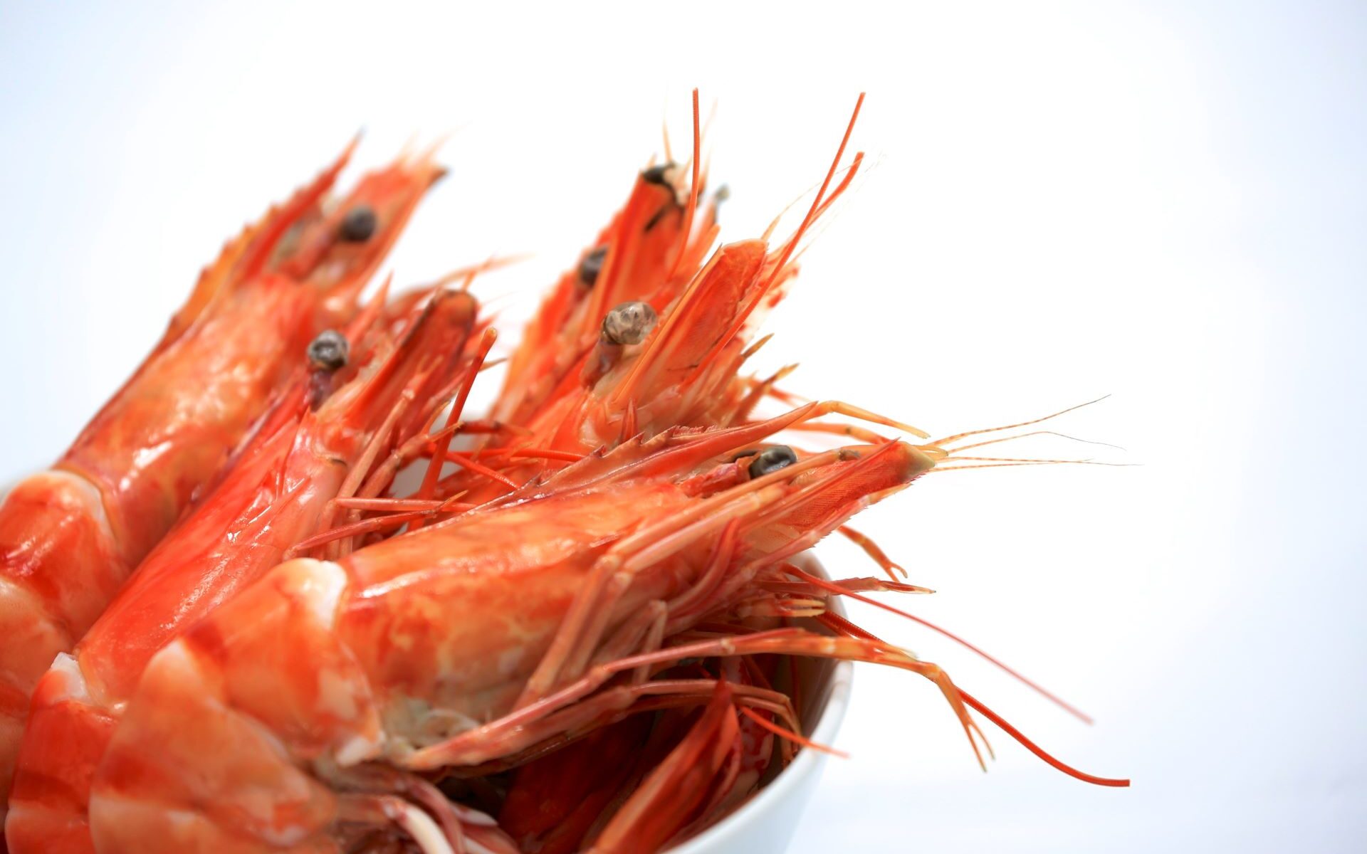 seafood buffet in rayong